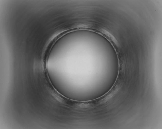 X0000111491027200907211005