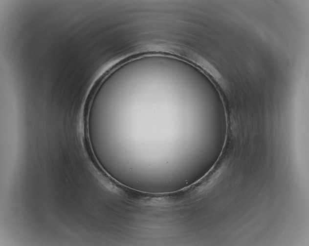 X0000111491028200907211005