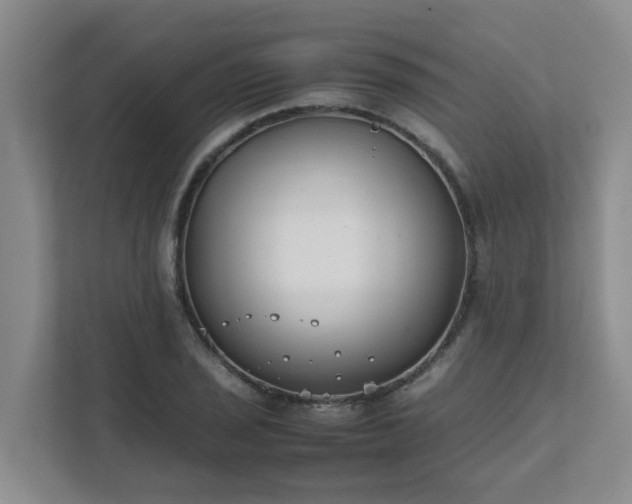 X0000111491029200907211005