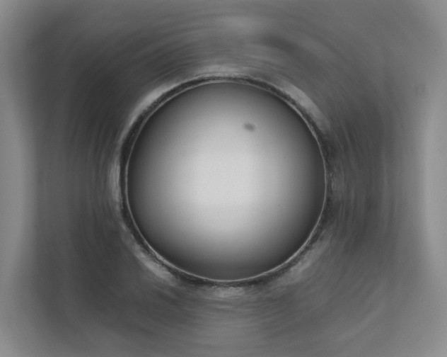 X0000111491030200907211005