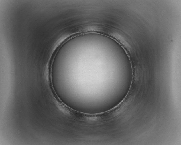 X0000111491031200907211005