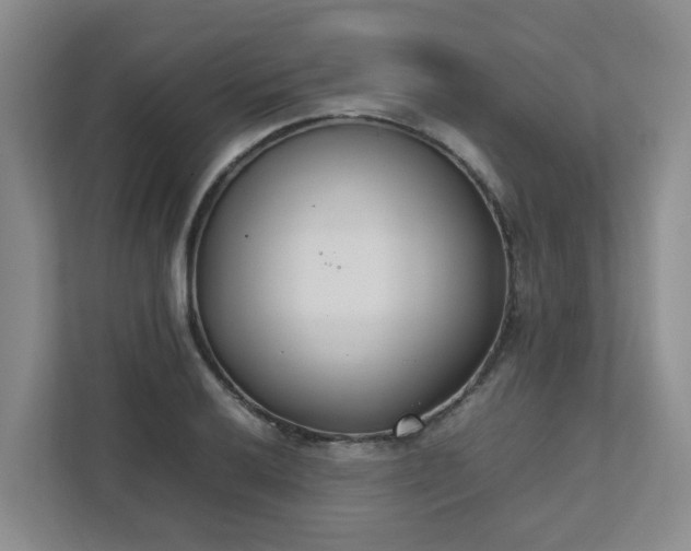 X0000111491032200907211005