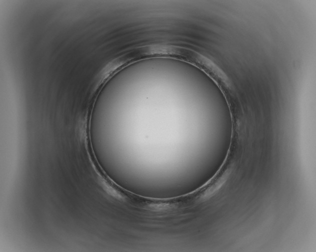 X0000111491033200907211005