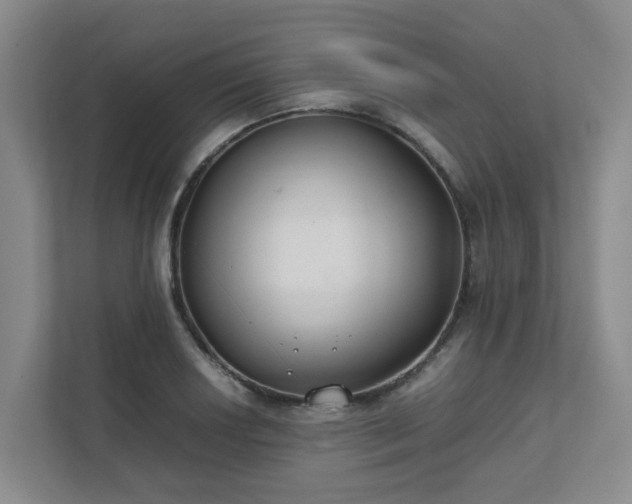 X0000111491034200907211005