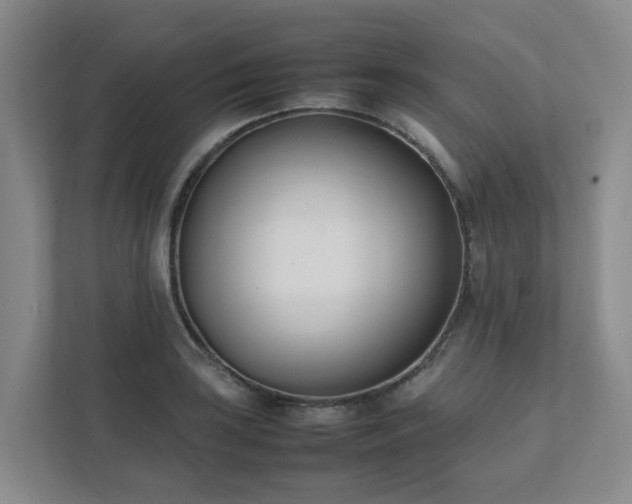 X0000111491035200907211005