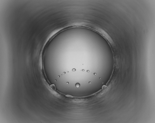 X0000111491036200907211005