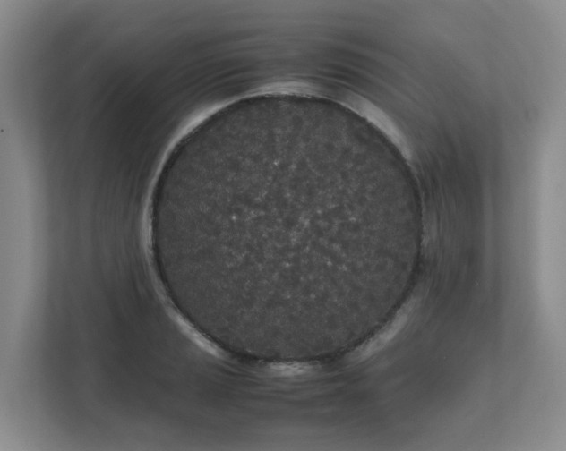 X0000111491037200907211005