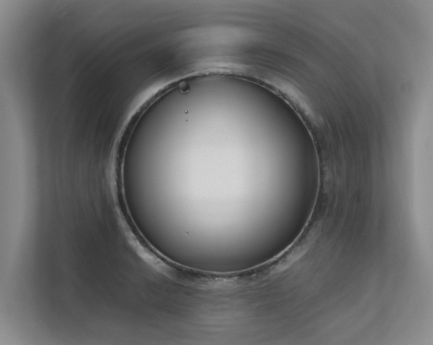 X0000111491038200907211005