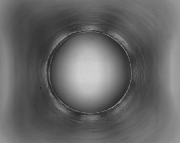 X0000111491039200907211005