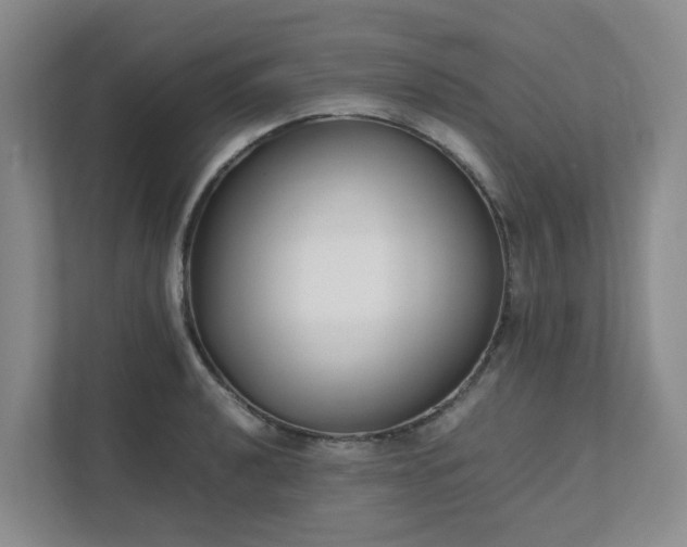 X0000111491040200907211005