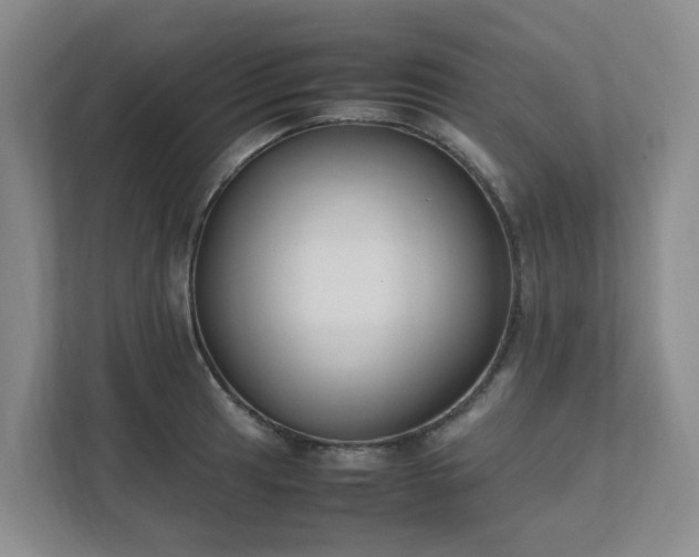 X0000111491041200907211005