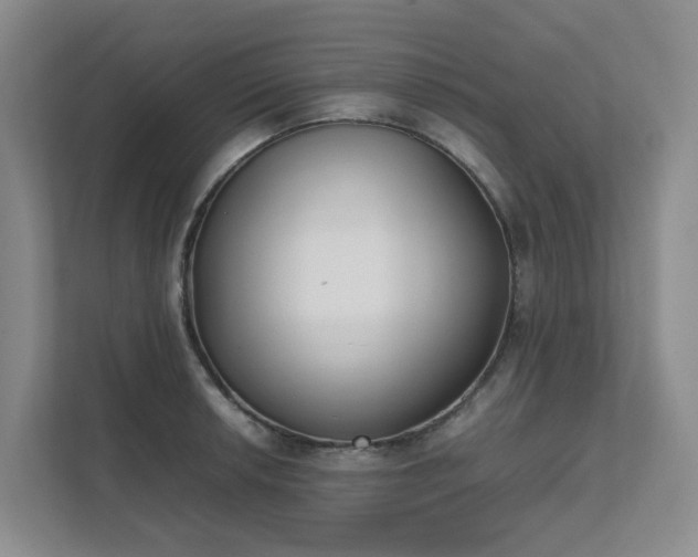 X0000111491042200907211005