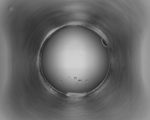 X0000111491044200907211005