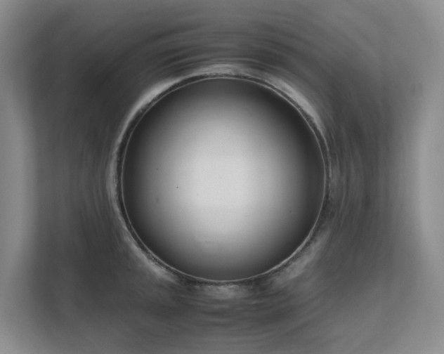 X0000111491045200907211005