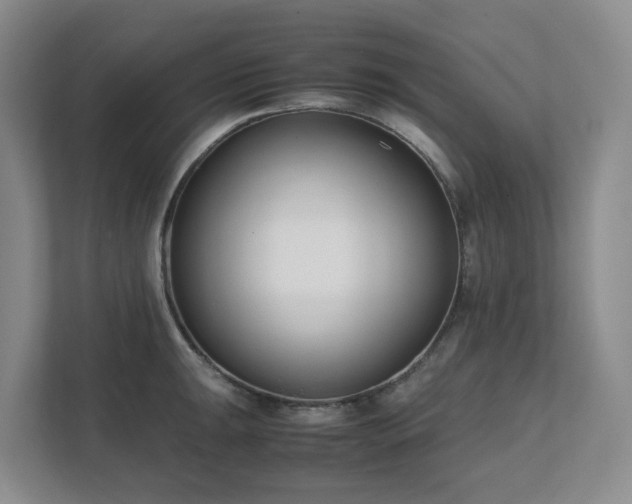 X0000111491047200907211005