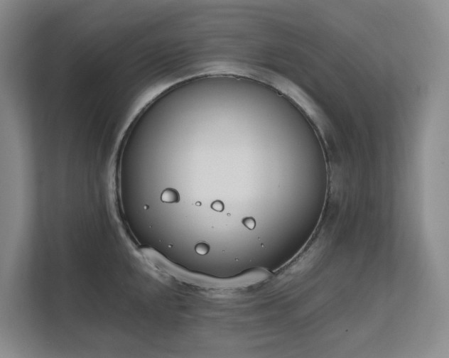 X0000111491048200907211005