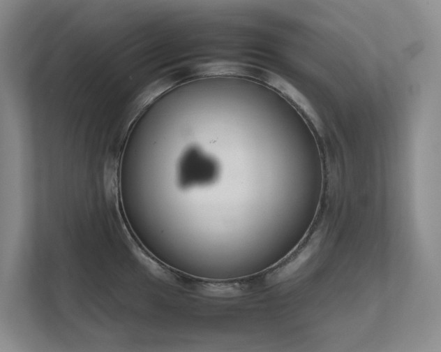 X0000111491049200907211005