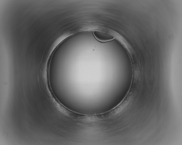 X0000111491050200907211005