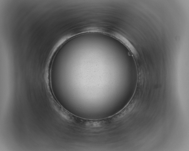 X0000111491051200907211005