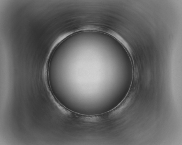 X0000111491053200907211005