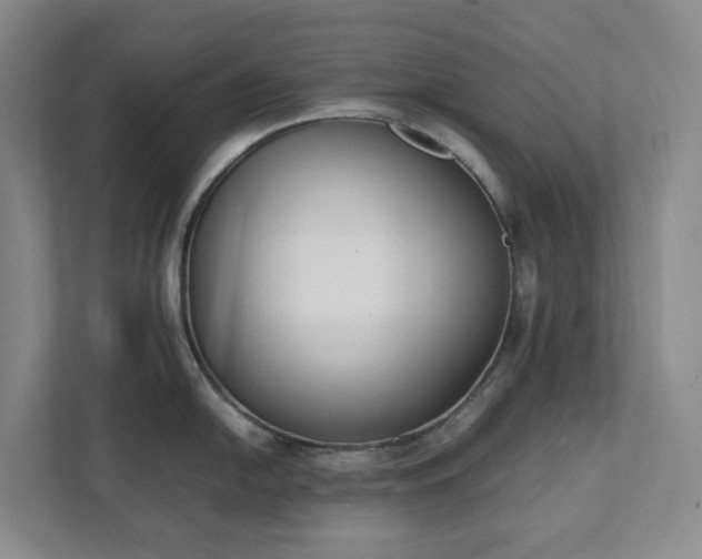 X0000111491054200907211005