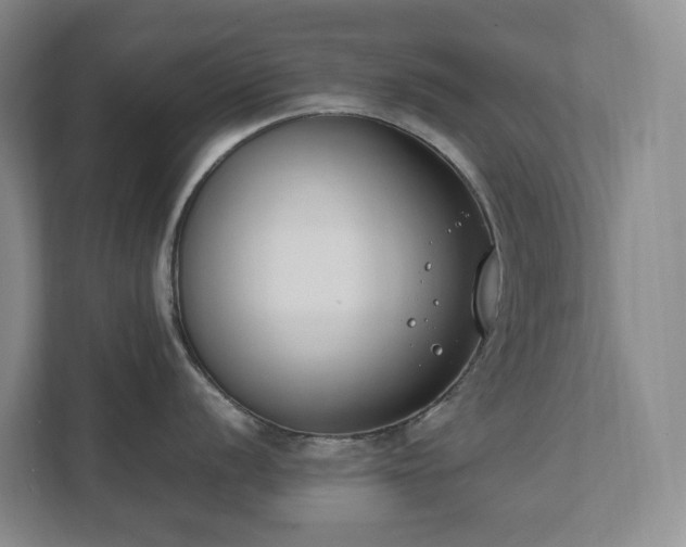 X0000111491056200907211005