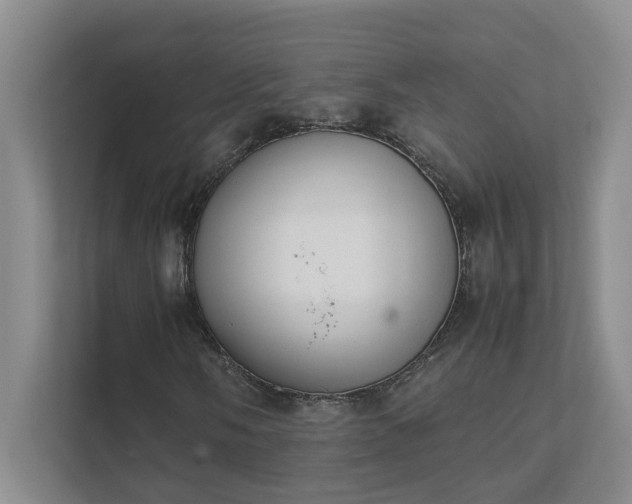 X0000111491058200907211005