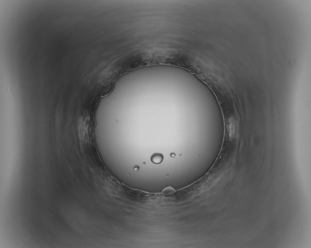 X0000111491059200907211005