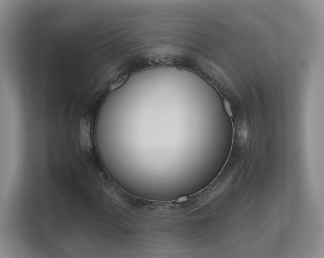 X0000111491060200907211005