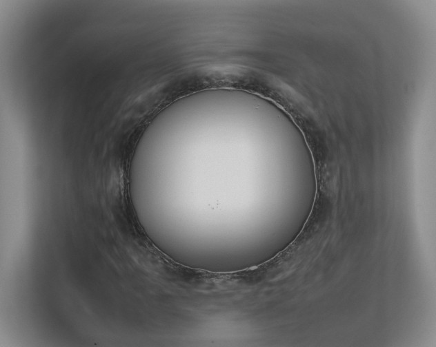 X0000111491061200907211005