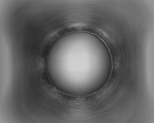 X0000111491062200907211005