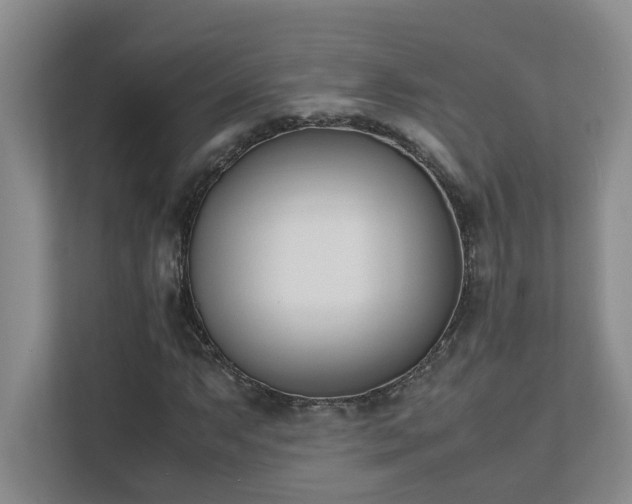 X0000111491063200907211005