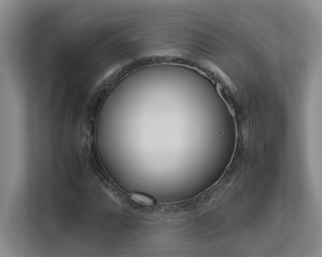 X0000111491064200907211005