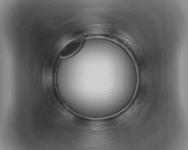 X0000111491065200907211005