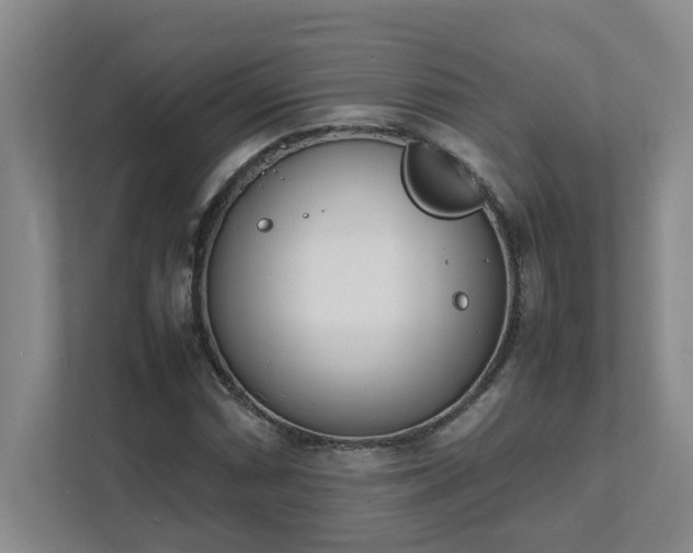 X0000111491066200907211005