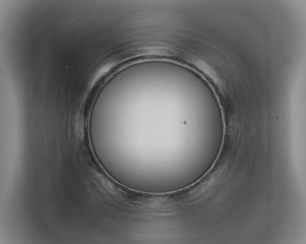 X0000111491067200907211005