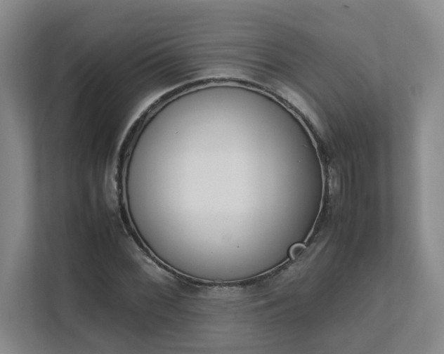 X0000111491068200907211005