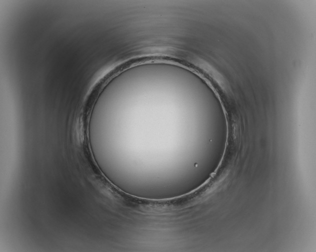 X0000111491069200907211005