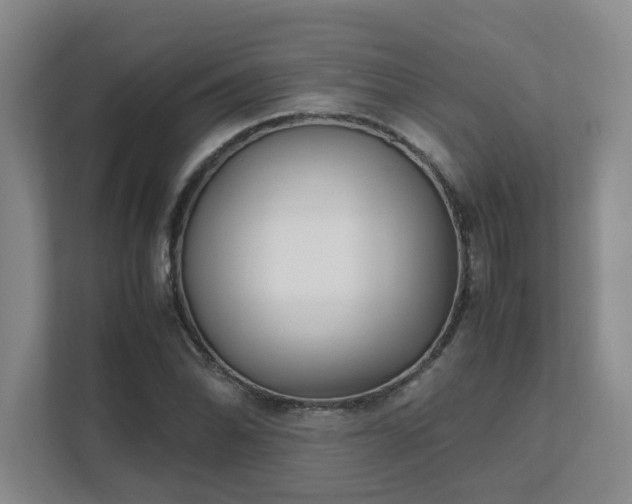 X0000111491070200907211005