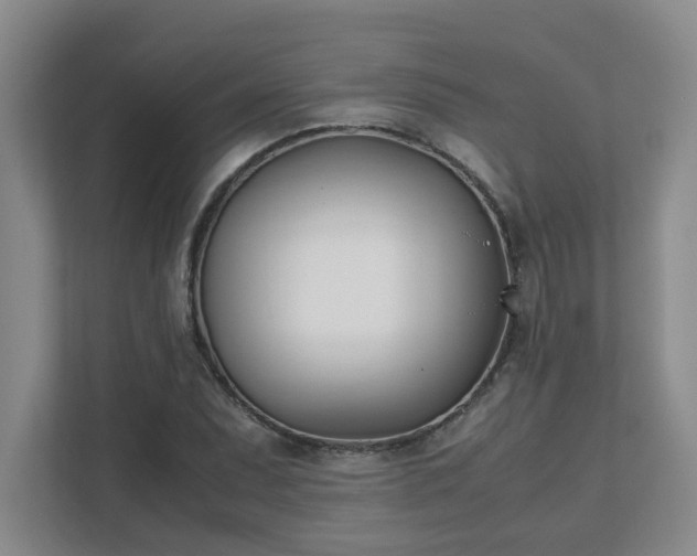 X0000111491071200907211005