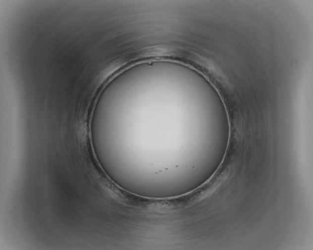 X0000111491073200907211005