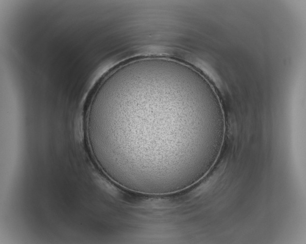 X0000111491075200907211005