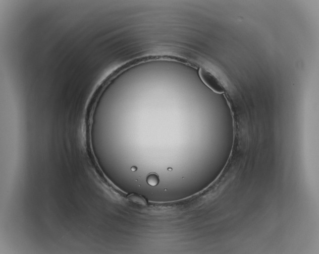 X0000111491076200907211005