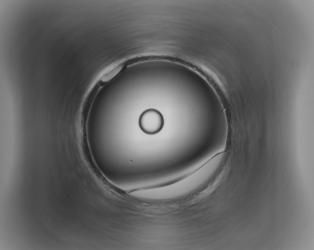 X0000111491077200907211005