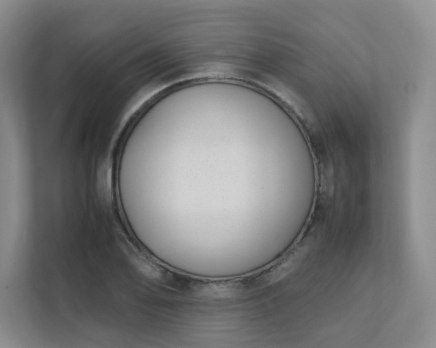 X0000111491078200907211005