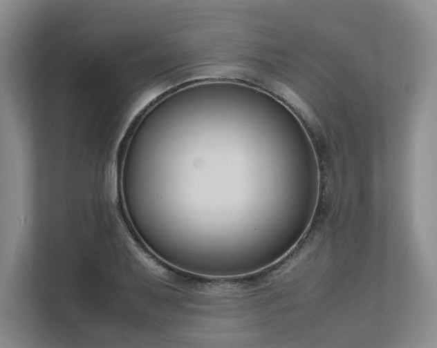 X0000111491079200907211004