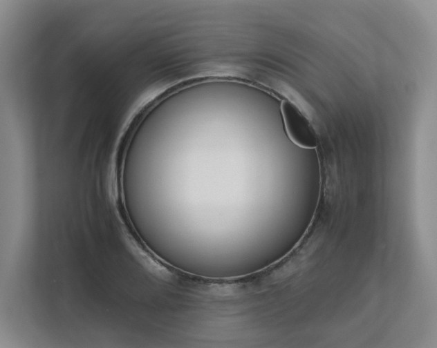 X0000111491080200907211004