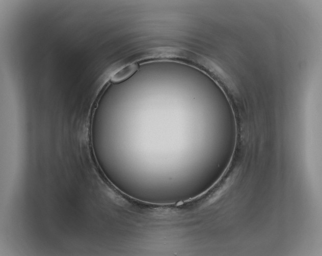 X0000111491081200907211004