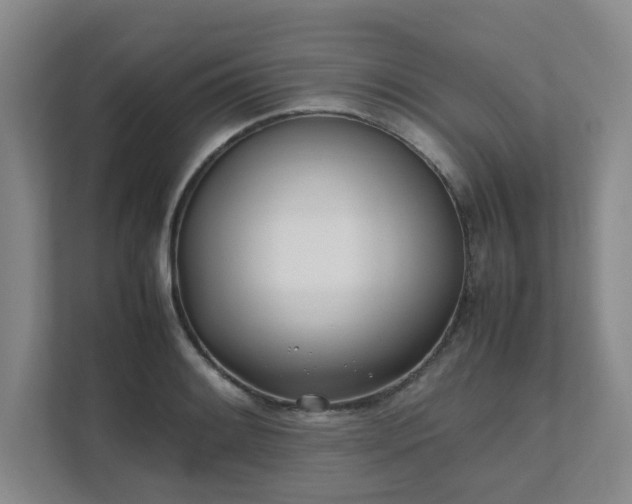 X0000111491084200907211004