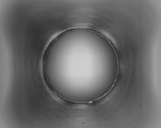 X0000111491085200907211004